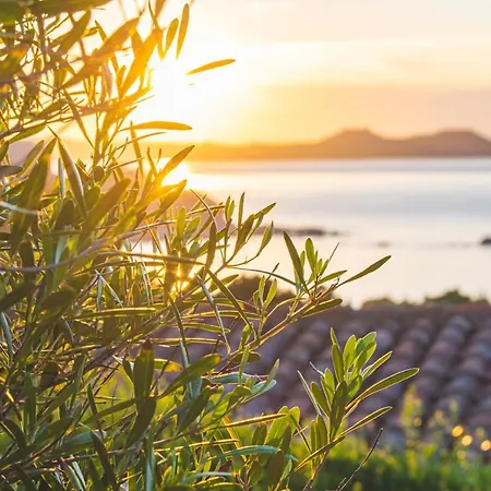 I Cormorani Bis Apart-hotel Baja Sardinia