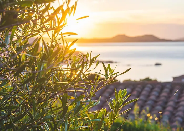 I Cormorani Bis Apartmanhotel Baja Sardinia